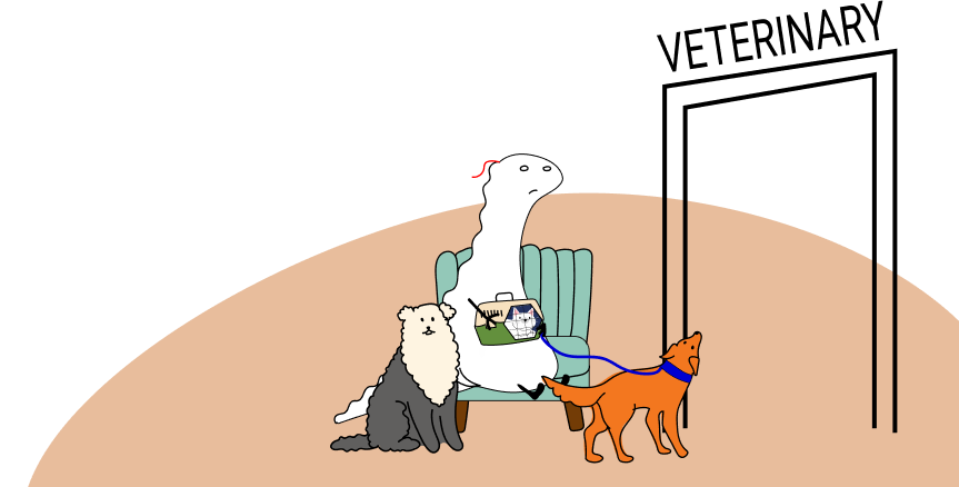 Pets at veterinary office illustration