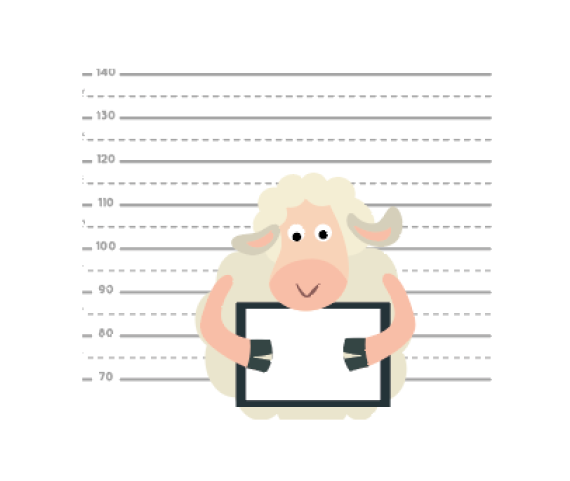 Pet tracking illustration