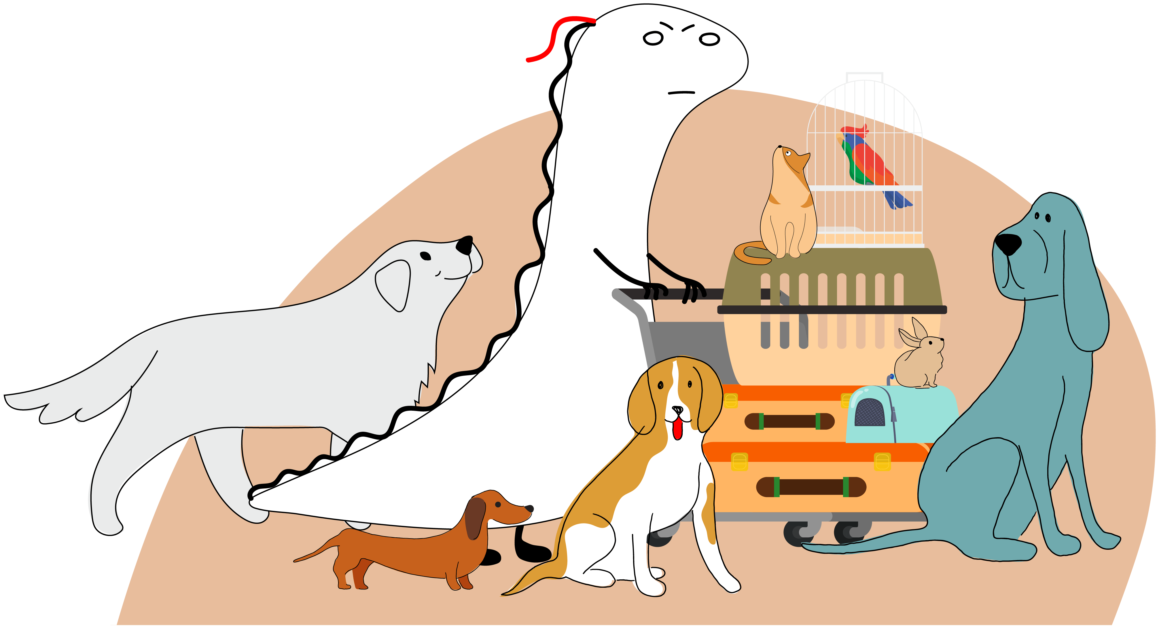 Pet illustrations